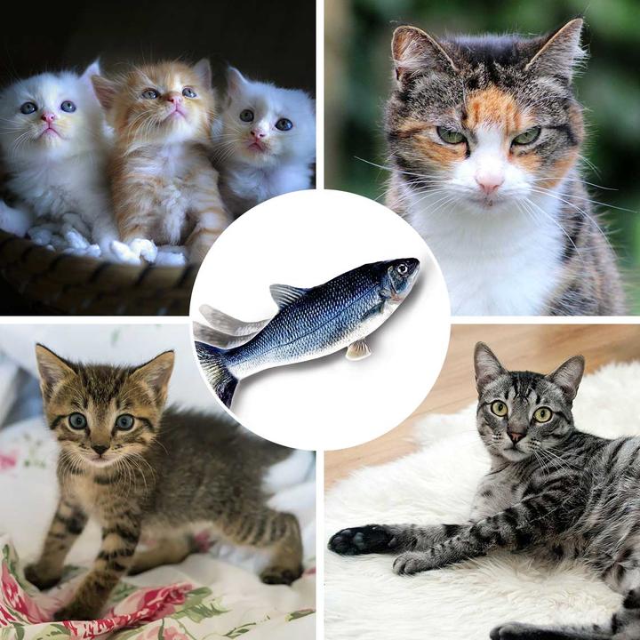 Actual product image MediaShop Flippity Fish (Catmint toy)