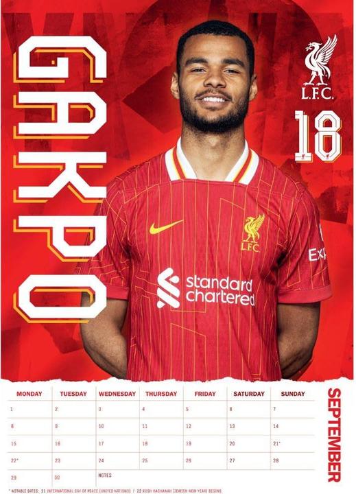 Actual product image Score Draw 2025 A3 Wall Calendar (A3, German)