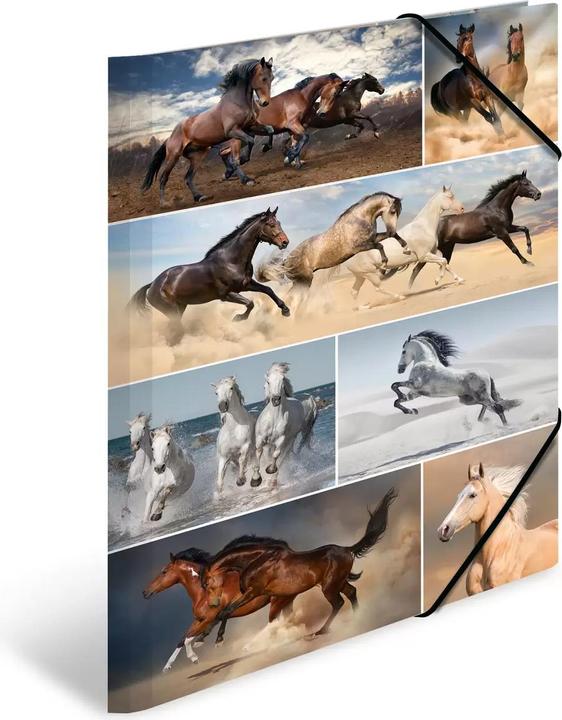 Actual product image HERMA A3 motif folder (A3, 1 x)