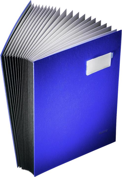 Actual product image Leitz Signature folders (A4, 1 x)