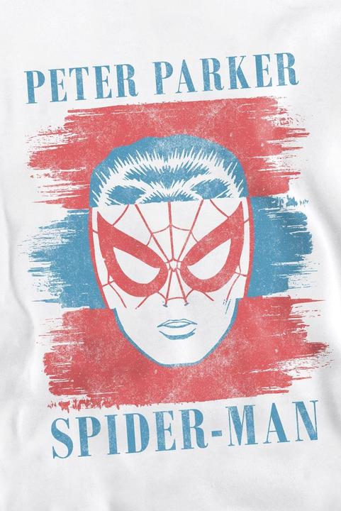 Produktbild Spiderman Sweatshirt (XXL)