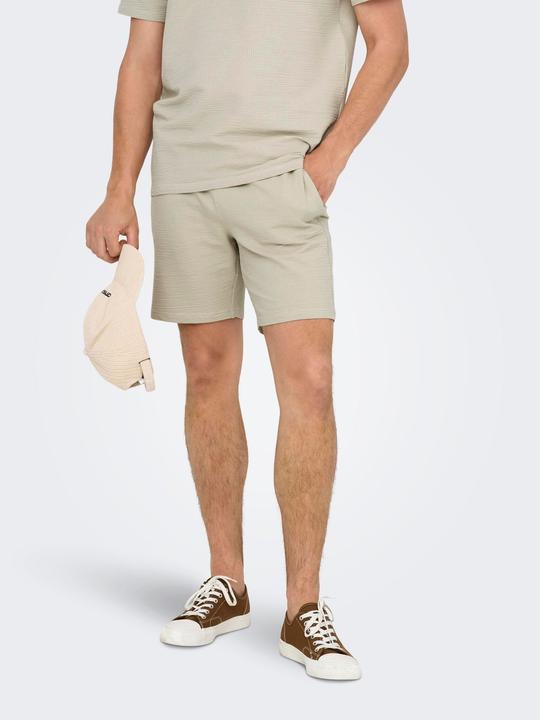 Produktbild Only & Sons Onskian Reg Seersucker Shorts (XS)