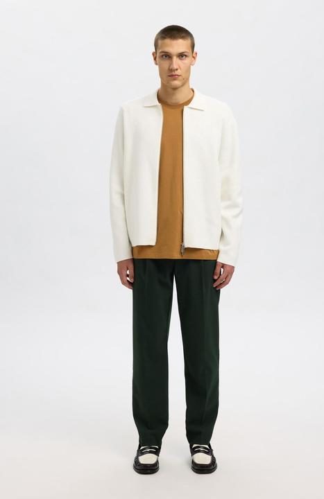 Actual product image Selected Homme Slh190-Reg Tapered Leroy Pleat Pant Noos (L)