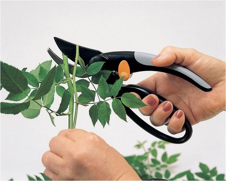 Produktbild Fiskars Gartenschere Bypass Elegance 1