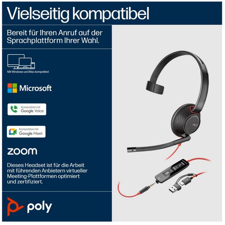 Actual product image Poly BW 5210 USB-C HS +3.5MMP (Cable, USB-A)