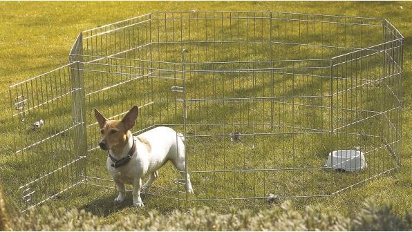 Actual product image Savic DOG PARK 1 61x61 cm, assorted (Dog)