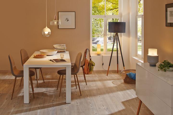 Actual product image Paulmann Globe (E27, 6 W, 470 lm, 1 x, G)