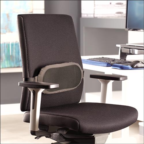 Produktbild Fellowes Lendenkissen (35 x 6 x 16 cm)