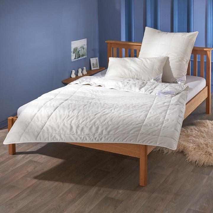 Produktbild Traumschlaf Alpaka (600 g, 160 x 210 cm)