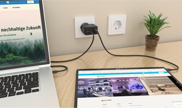 Actual product image Icy Box IB-PS1030-PD (65 W)