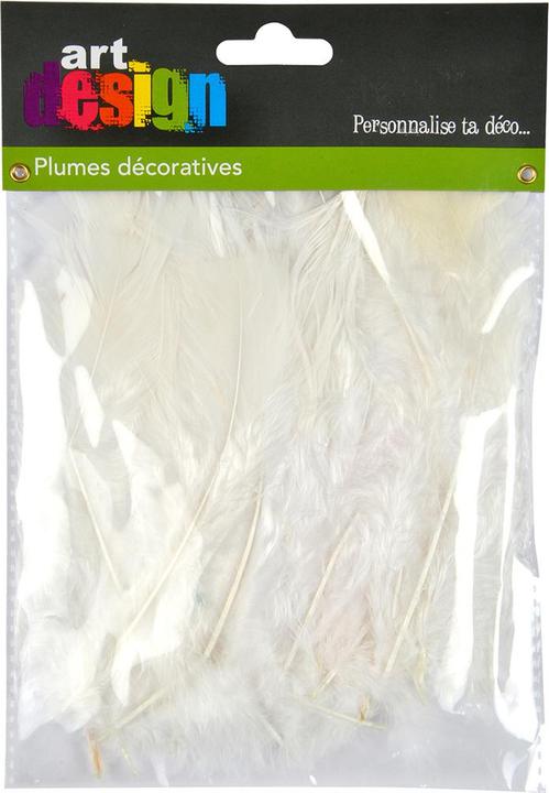 Immagine prodotto Natura Punto 35 piume artigianali morbide, bianche, lunghezza 17 cm