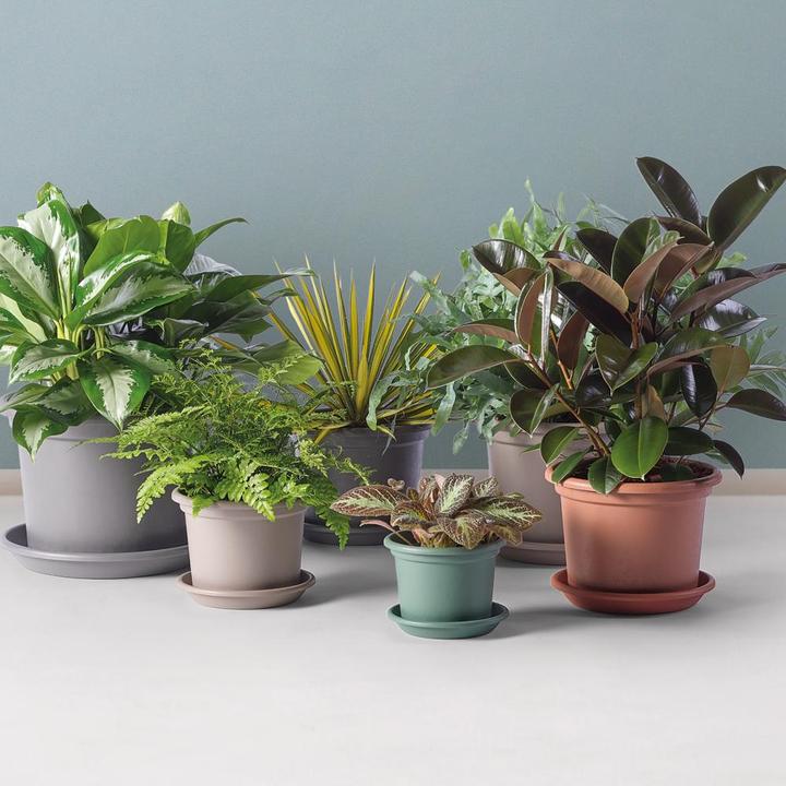 Actual product image Euro3plast Planter (30 cm)