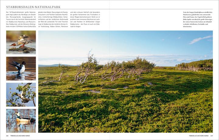 Image du produit Norwegen. Das Buch (Allemand, Maria Guntermann, Dörte Sasse, Andrea Lammert, Melanie Goldman, 2024)