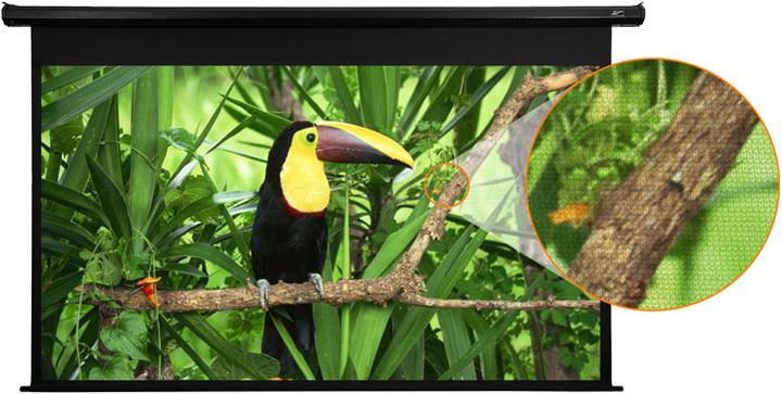Actual product image Elite Screens Spectrum (110", 16:9)