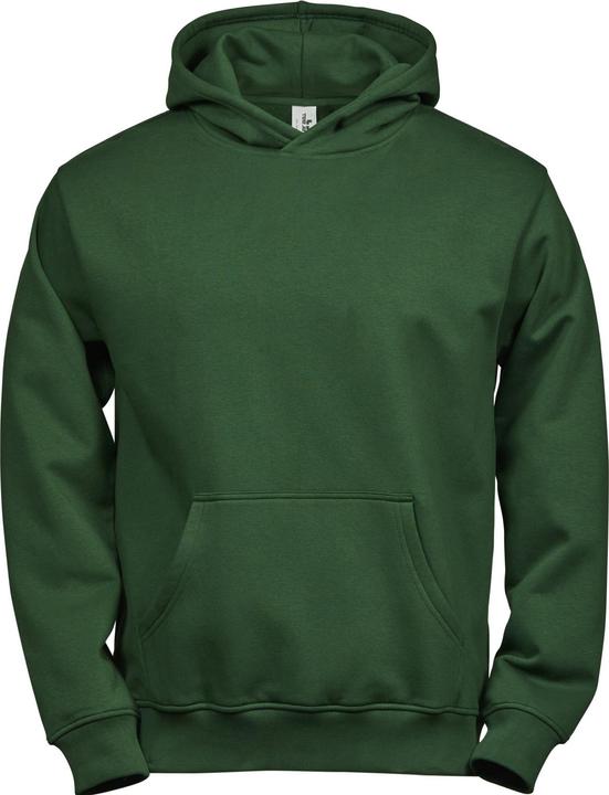 Actual product image Tee Jays Childrens/Kids Power Hoodie (110, 116, 115 A)