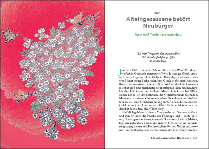 Immagine prodotto Überall ist Garten (Tedesco, Eva Rosenkranz, 2019)