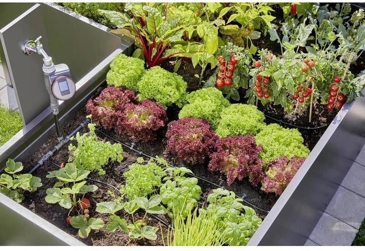 Actual product image Gardena Micro-Drip-System Set Raised Bed/Bed (Drip irrigation set)