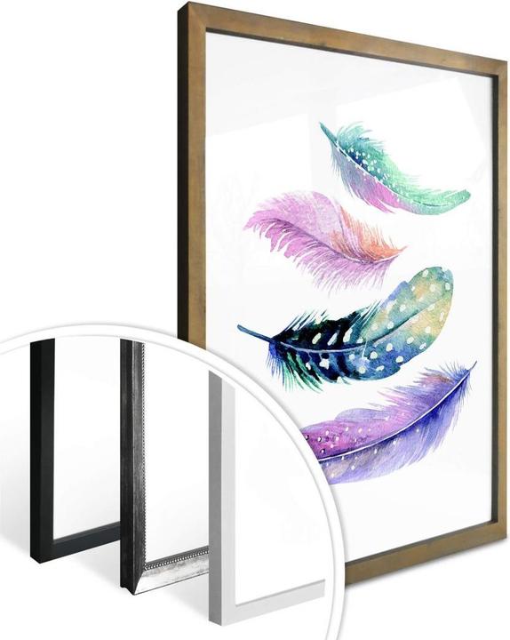 Produktbild Trenddeko Poster Federn 60 x 80 cm, Papier (11 x 12 x 63 cm)