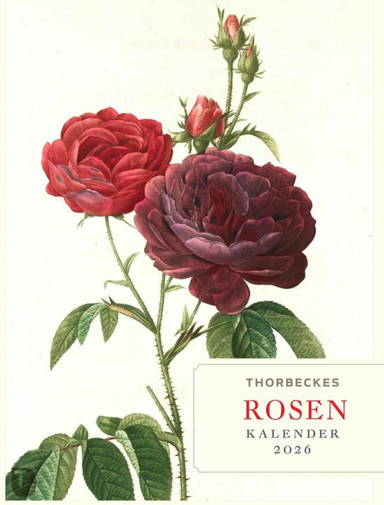 Immagine prodotto Thorbeckes Rosen-Kalender 2026 (24 x 32 cm, Copertina rigida, Tedesco)