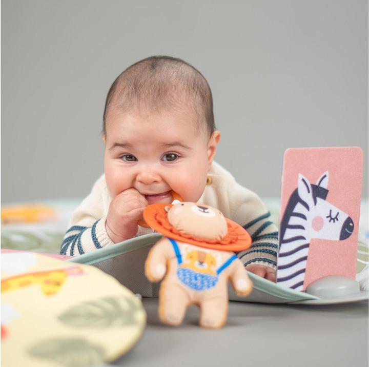 Productafbeelding Taf Toys Savannah