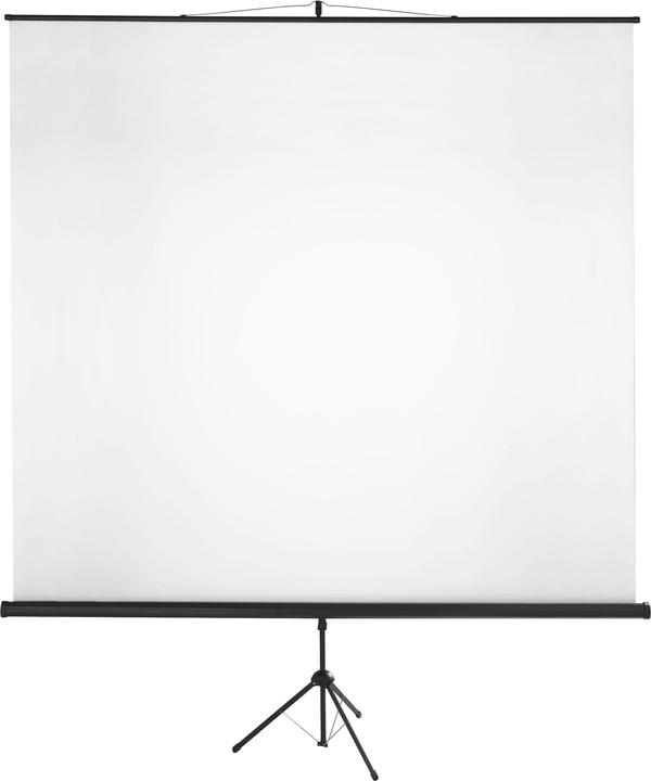 Produktbild Stativ-Leinwand "classic"