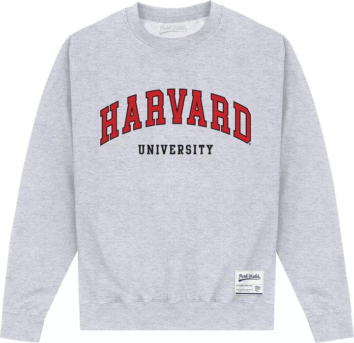 Sweatshirt (M)