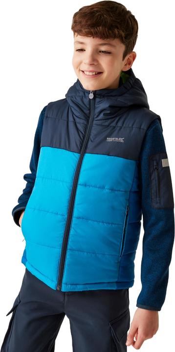 Immagine prodotto Regatta Lofthouse II Gilet Bambini (158)