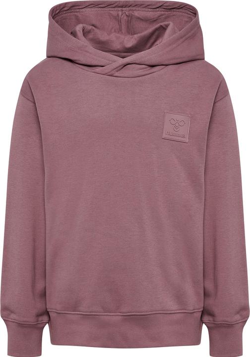 Image du produit hummel hmlCLEAN HOODIE (164)