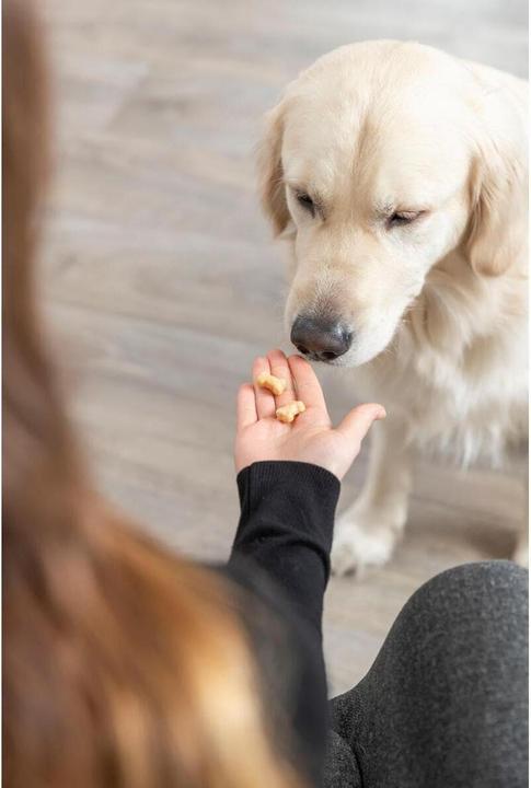 Produktbild Trixie Backmatte mit Knochen (Beschäftigungsspielzeug Hund)