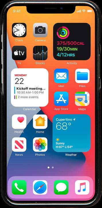 Actual product image dbramante1928 LYNGE - IPHONE 12 6.1? - Black (Realme 12 Pro+, Apple iPhone 12)