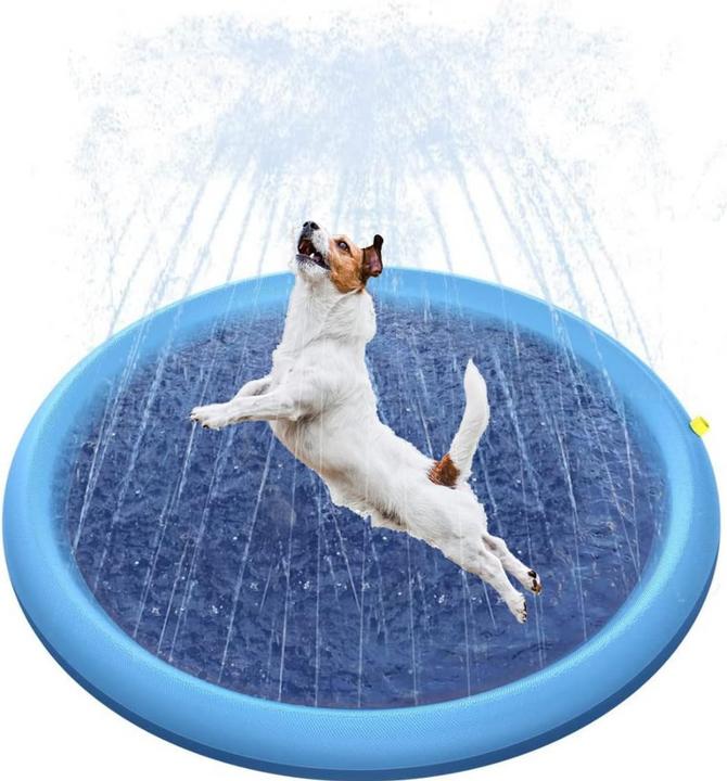 Suba Splash Pad (Hundepool)