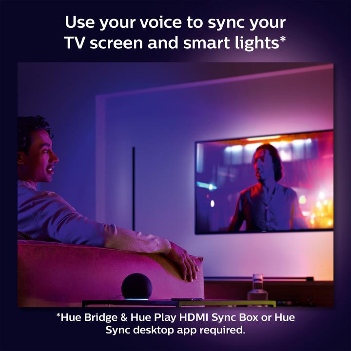 Image du produit Philips Hue Play Gradient (1260 lm)