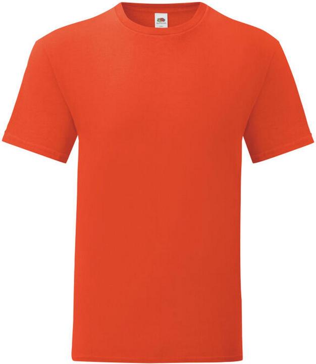 Actual product image Fruit of the Loom Mens Iconic 150 T-Shirt (L)