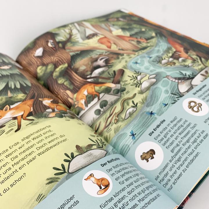 Produktbild Kleine Geheimnisse der Natur - Wald und Wiese (Deutsch, Stütze & Vorbach, Kaja Kajfež, 2022)