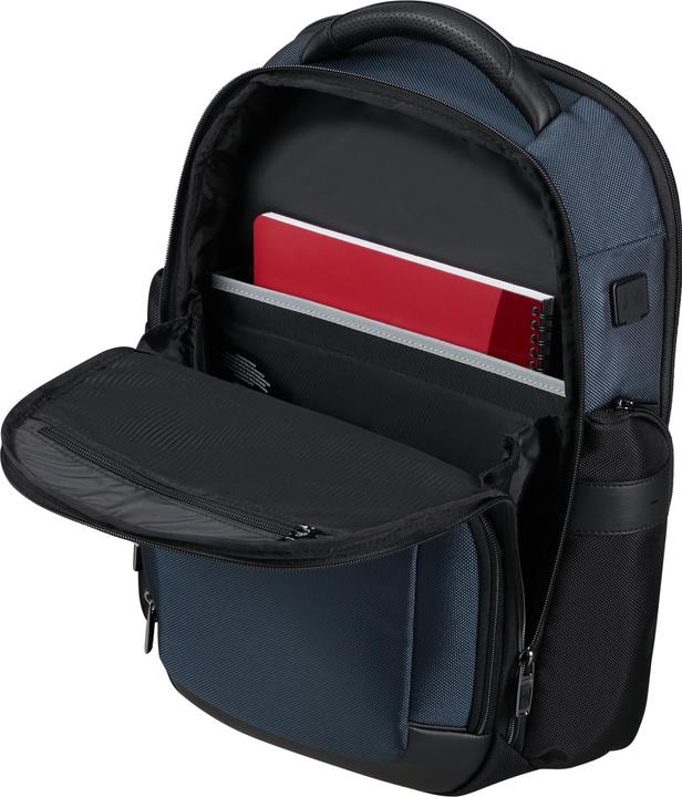 Image du produit Samsonite Pro-DLX 6 Backpack 15.6" (15 l)