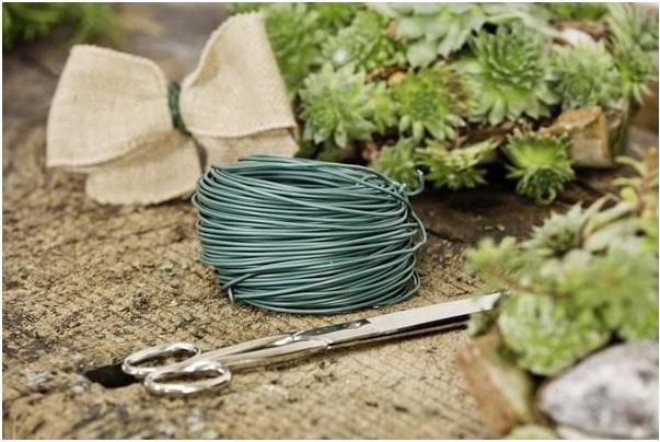 Image du produit Windhager Fil de jardin (40 cm, 5.50 cm)