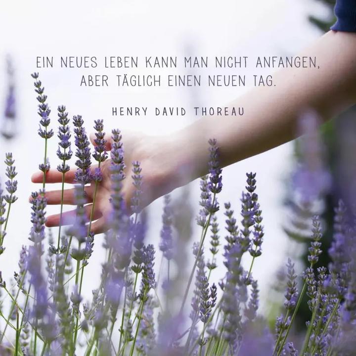 Actual product image Mindfulness for you. Small timeouts for the office (Hardcover, German)