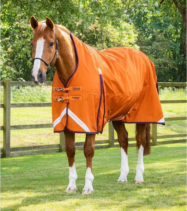 Immagine prodotto Premier Equine Buster Hardy 200 g (160 cm)
