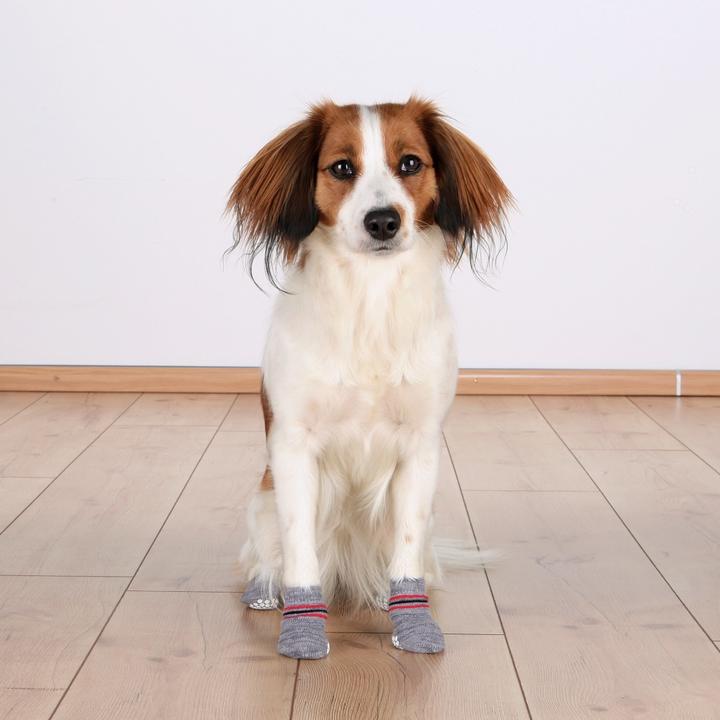 Actual product image Trixie Dog socks (L, XL, Dog socks)
