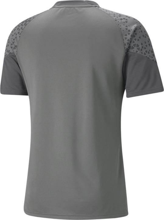 Actual product image Puma teamCUP Training Jersey (L)