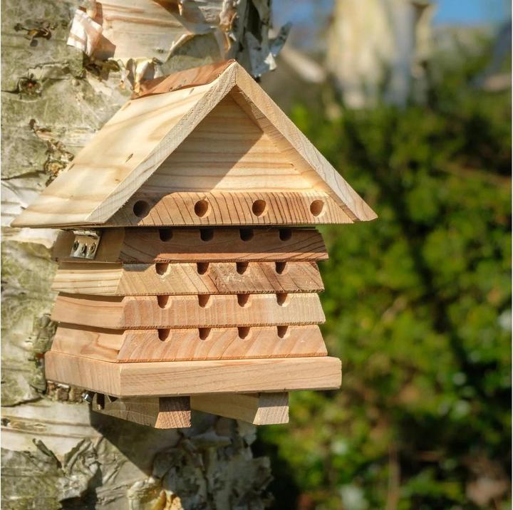 Immagine prodotto Wildlife World Hotel per insetti Hotel per api solitarie, specie animale: insetti (Api)