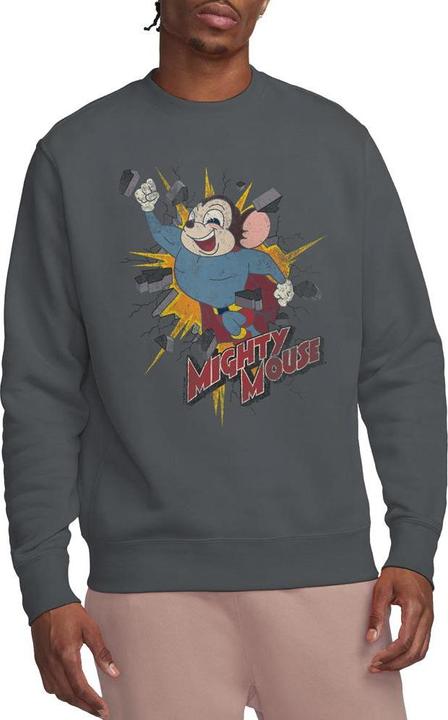 Actual product image Fruit of the Loom Unisex Adult Break Through Sweatshirt (L)