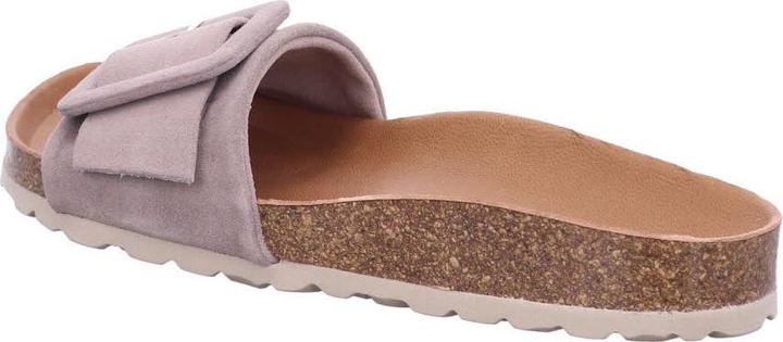 Actual product image Verbenas Reiko (39)