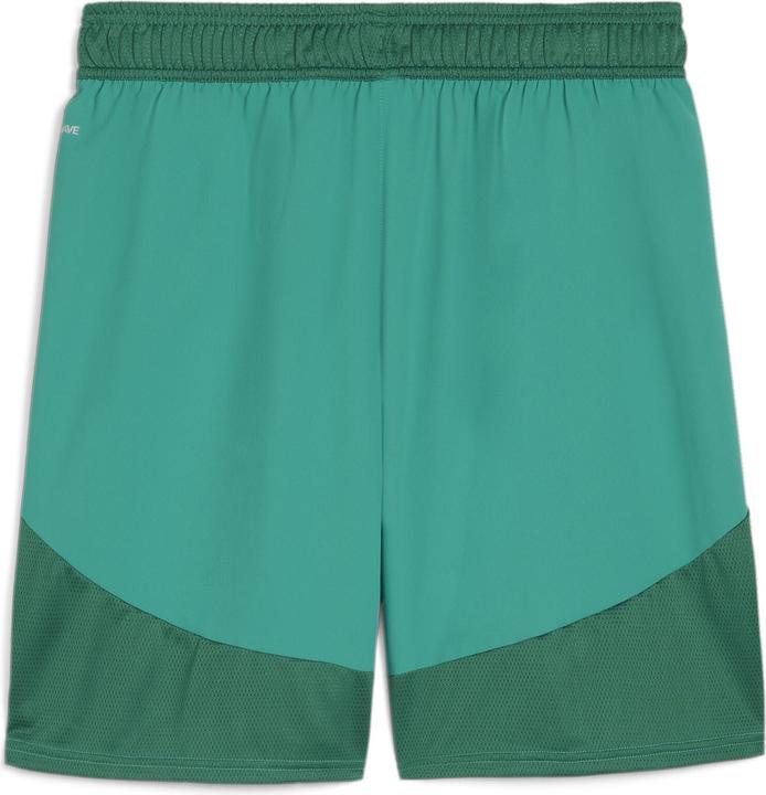 Image du produit Puma Short teamFINAL (L)