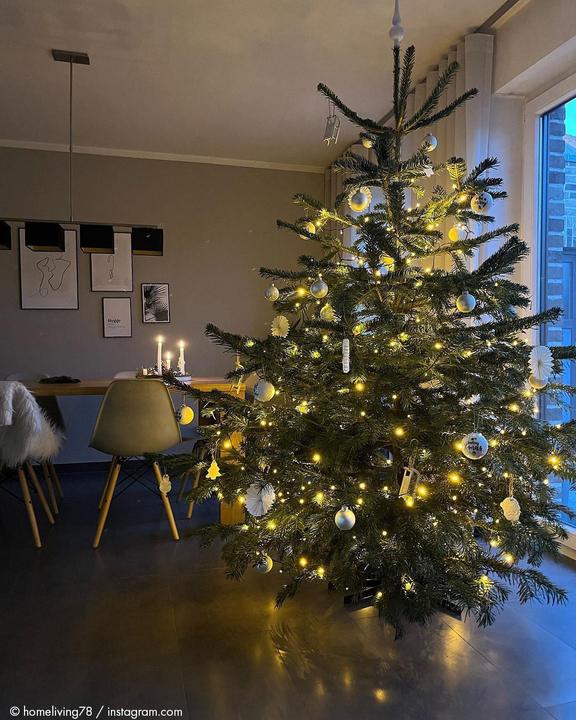 Produktbild Krinner Weihnachtsbaumständer Stockholm für Baumhöhe 3 m