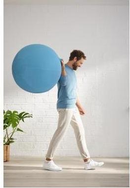 Produktbild Leitz Ergo Cosy Active Sitzball (65 cm)