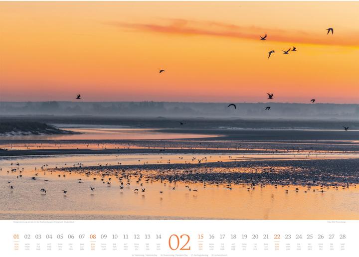 Immagine prodotto Morgenlicht Kalender 2026 (54 x 42 cm, Inglese, Francese, Tedesco)