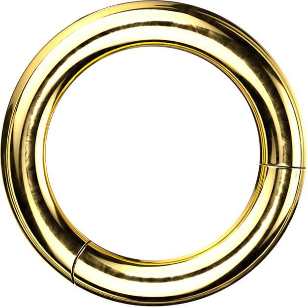 Actual product image Star Piercing Segment ring hinged gold plated (Titanium G23, without brass)