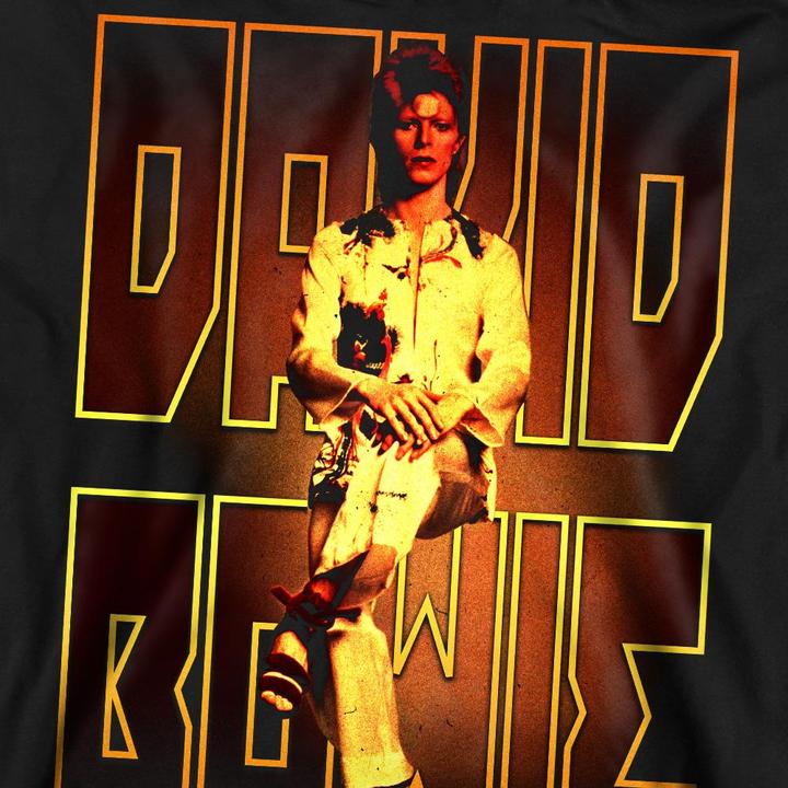 Image du produit David Bowie - Sweat PERCHED - Adulte (S)