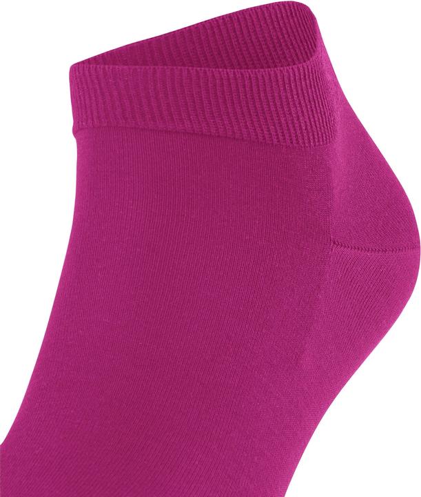 Produktbild Falke ClimaWool SN (Einzelpack, 43 - 44)